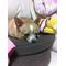 たほの犬小屋