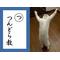 はらぐろ♪ミ･д･ミ