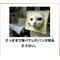 Ｓの記憶と道しるべ
