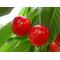 *cherry*