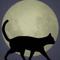 月夜の黒猫団集会所