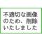 〆堕天使〆