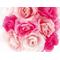 Rose＊Garden