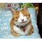 迷子の仔猫にゃん
