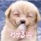 (*´∇｀*)ﾊｧﾊｧ