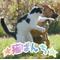 ★猫ぱんち★