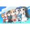 ｿｰﾄﾞｱｰﾄｵﾝﾗｲﾝHF