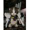 Ｃａｔ☆Ｆｌｅｅｔ