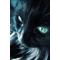 黒猫ルゥシ
