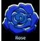 ＊Rose＊