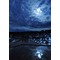 ◆ 宵 闇 月 夜 ◇